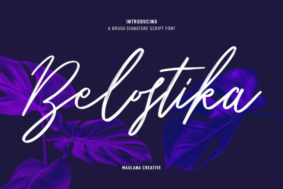 Belostika Script for Web Design and Brand Identity