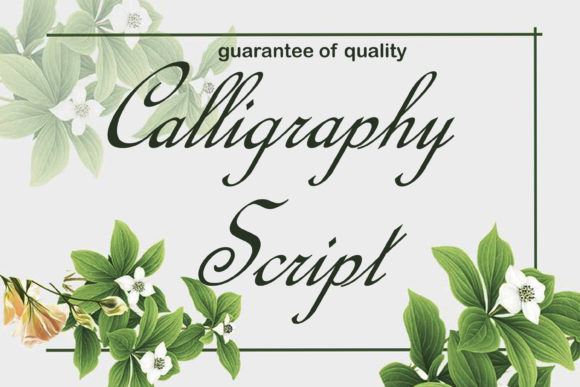 Calligraphy Script for Web Design and Branding