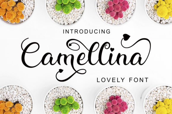 Camellina Script: A Versatile Typeface for Editorial Design