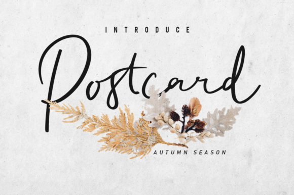 Choosing Postcart Script for a Modern Editorial Layout