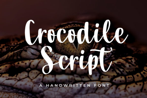 Crocodile Script: A Flowing Font for Modern Campaigns