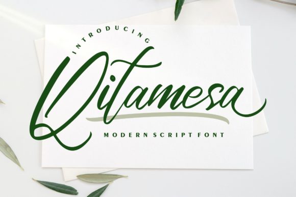 Qitamesa Script: A Modern Calligraphy Font for Branding