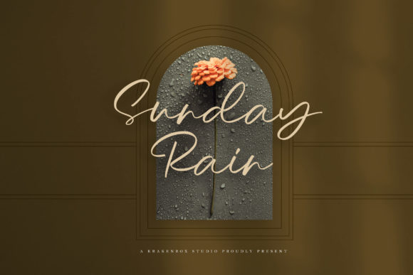 Sunday Rain - Script for Modern Web Design